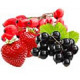 Ягодные саженцы в Ульяновске — урожайные сорта!
